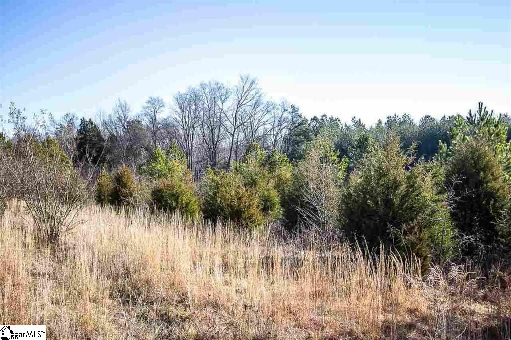 88 Axel Drive Fountain Inn, SC 29644 - Photo 1 of 7 Gallery Image 1