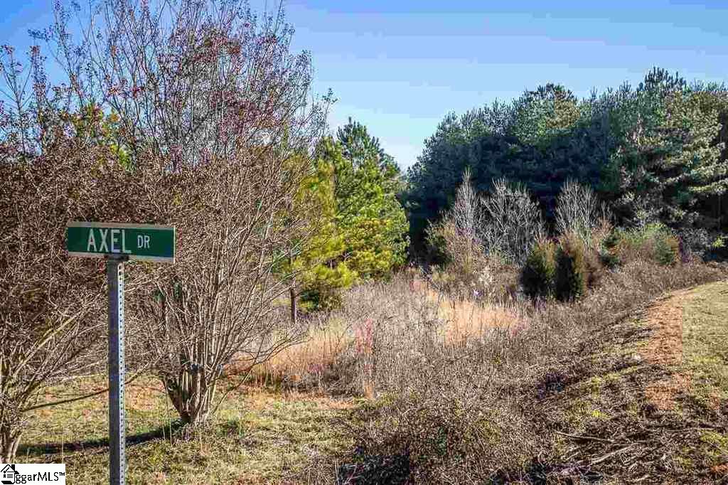 88 Axel Drive Fountain Inn, SC 29644 - Photo 2 of 7 Gallery Image 2