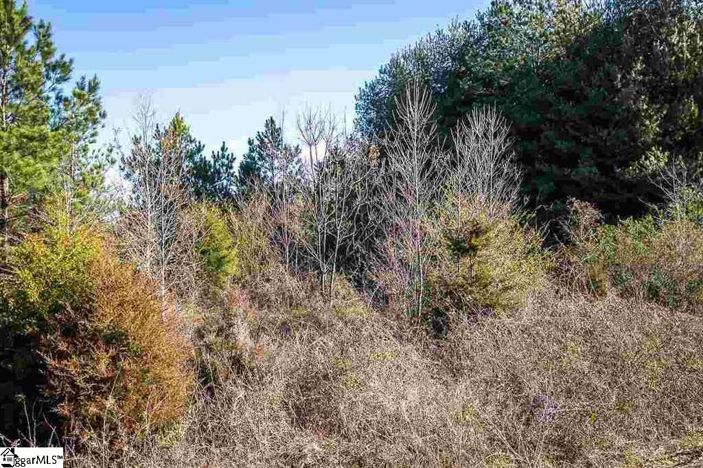 88 Axel Drive Fountain Inn, SC 29644 - Photo 3 of 7 Gallery Image 3