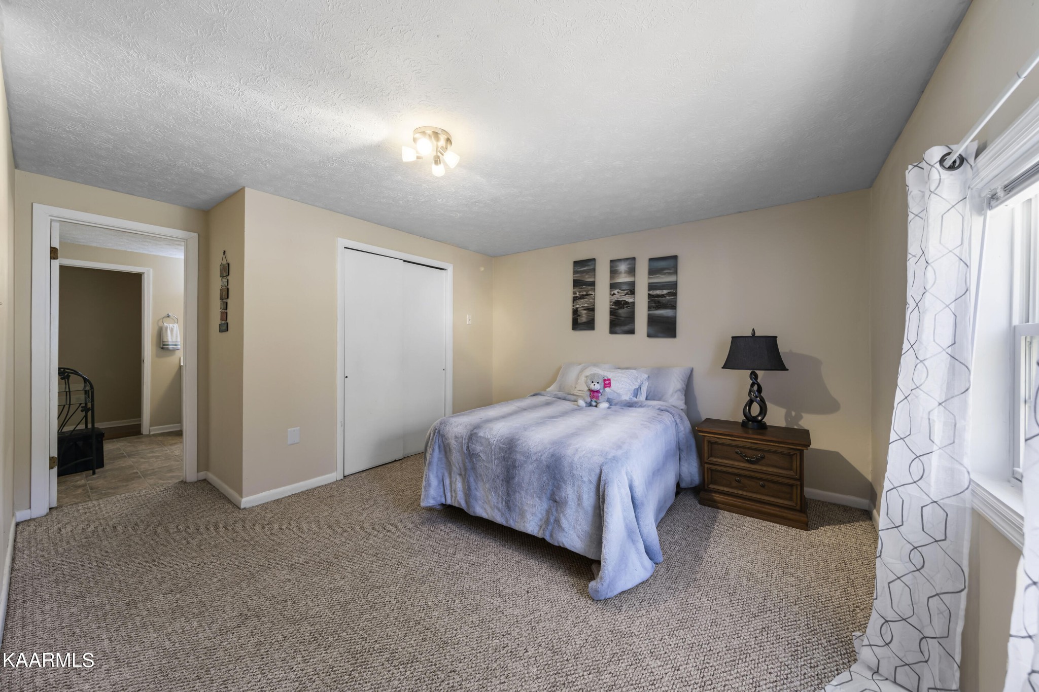 228 Money Road Caryville, TN 37714 - Photo 16 of 26 Gallery Image 16