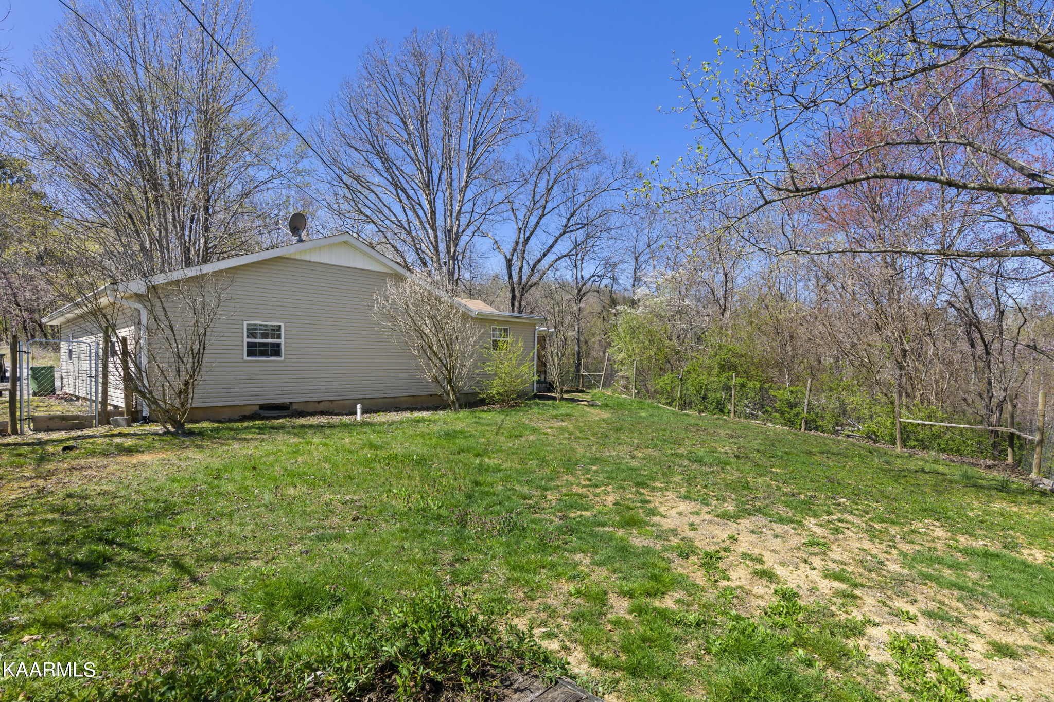 228 Money Road Caryville, TN 37714 - Photo 4 of 26 Gallery Image 4