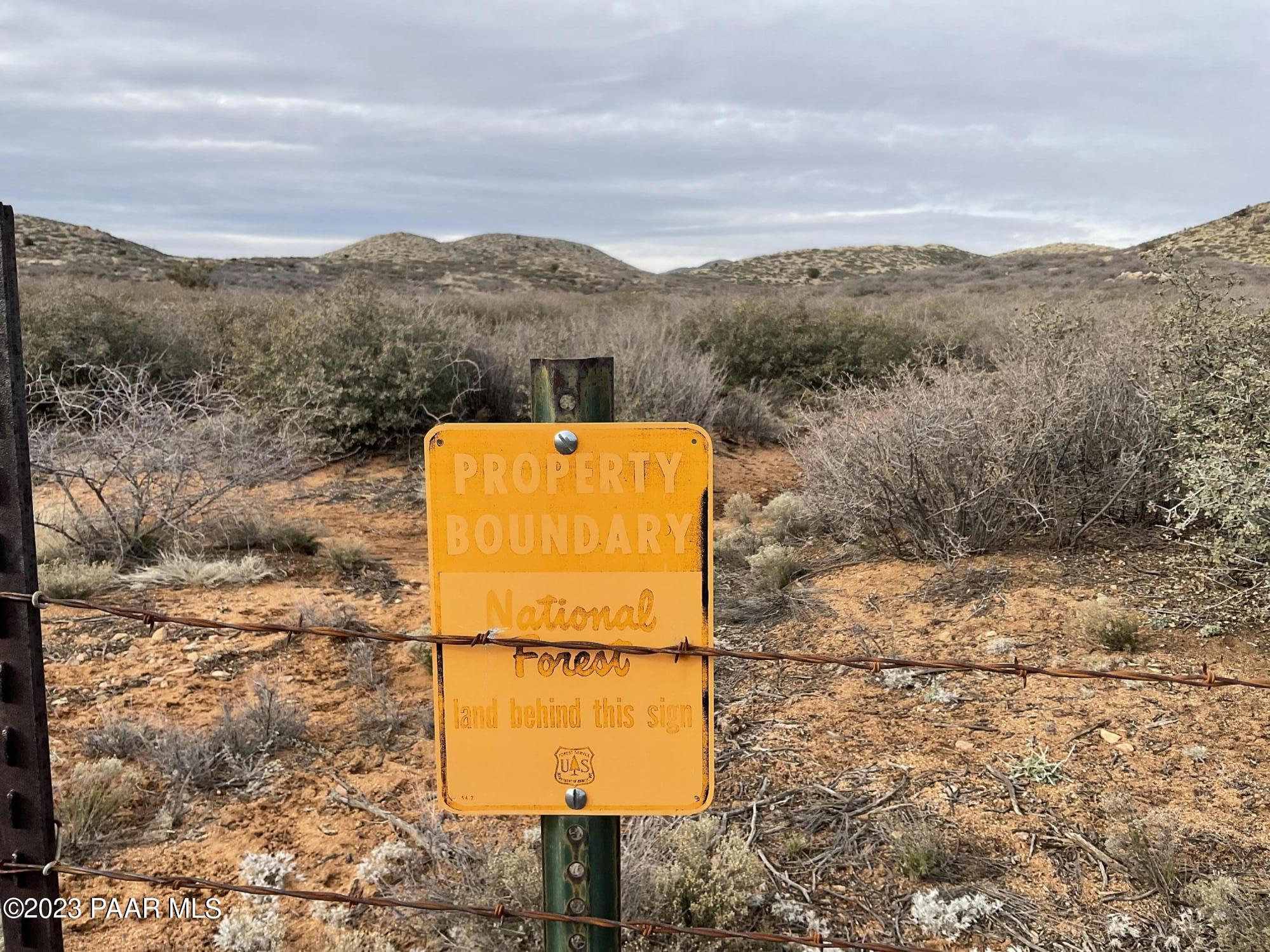 A2 Shamrock Dewey, AZ 86327 - Photo 11 of 13 a view of a forest