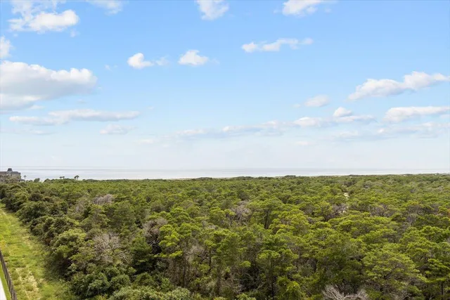 a view of a big yard with lots of green space