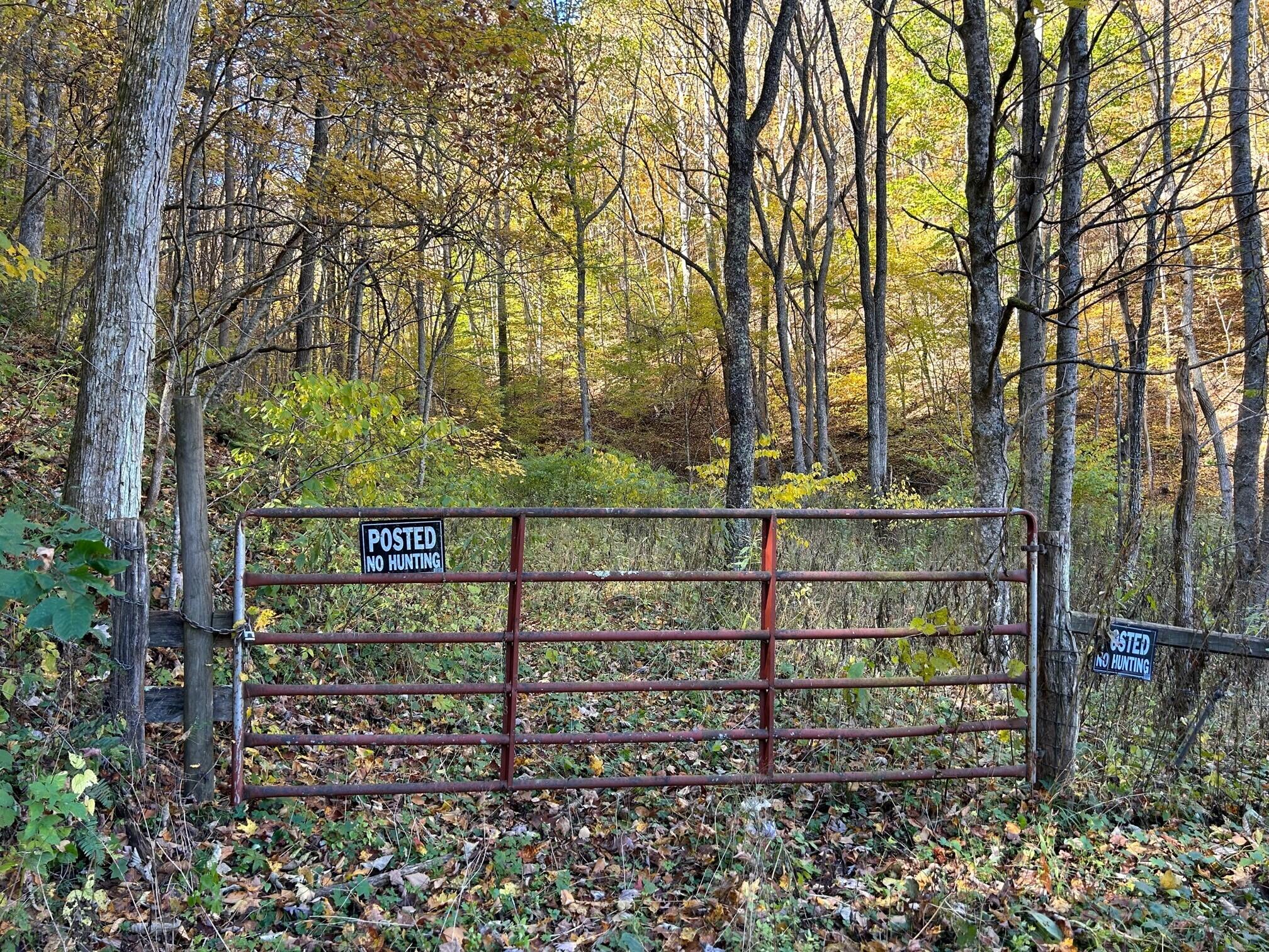 42 Snake Run Road Rainelle, WV 25962 - Photo 3 of 28 Gallery Image 3