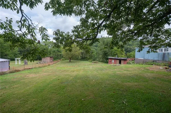 a view of a house with backyard and a tree