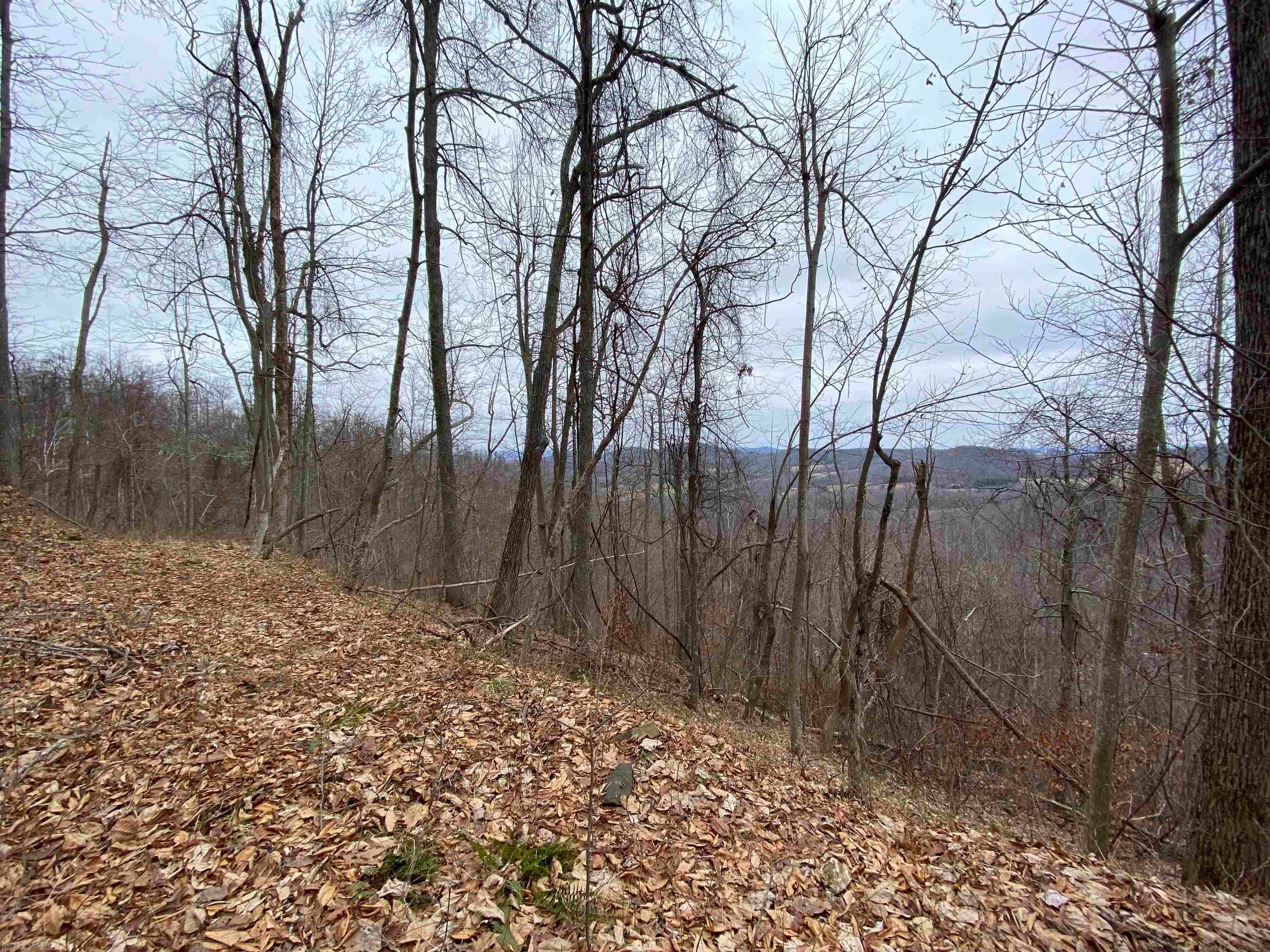 Tbd Broad Hollow Road Floyd, VA 24091 - Photo 24 of 26 Gallery Image 24