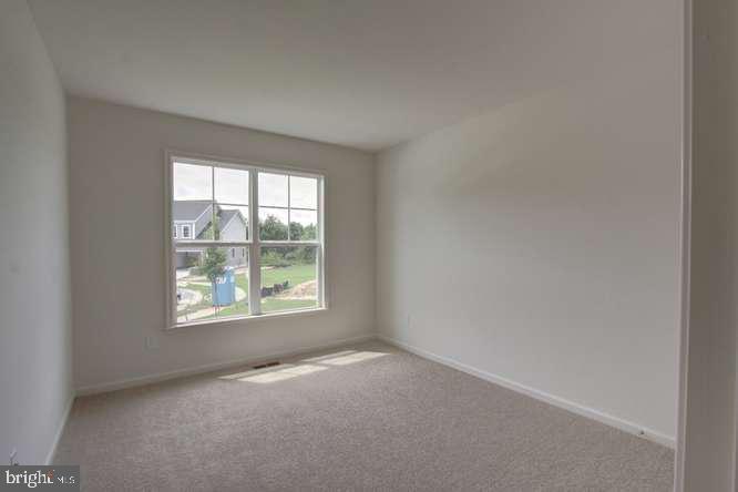 114 Queens Colony High Road Stevensville, MD 21666 - Photo 10 of 14