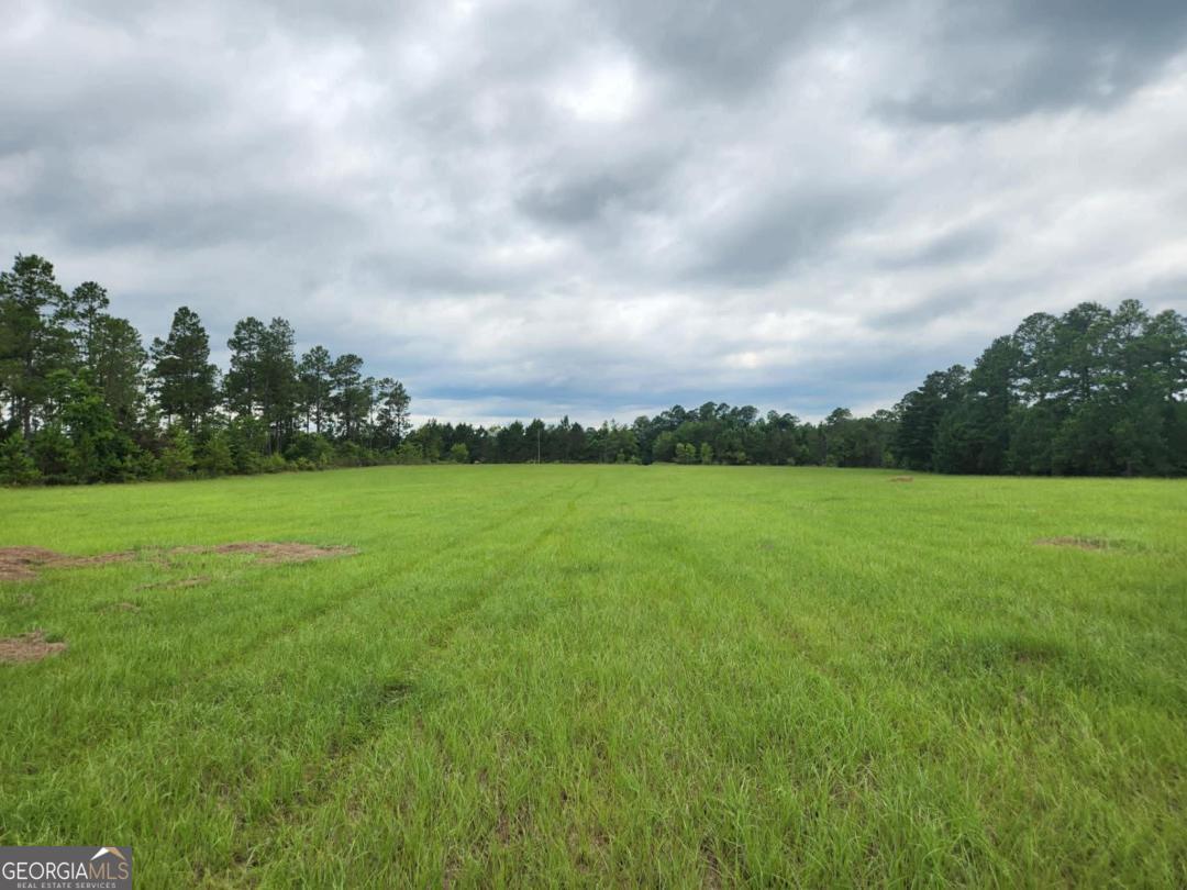 0 Stingray Road Swainsboro, GA 30401 - Photo 1 of 7