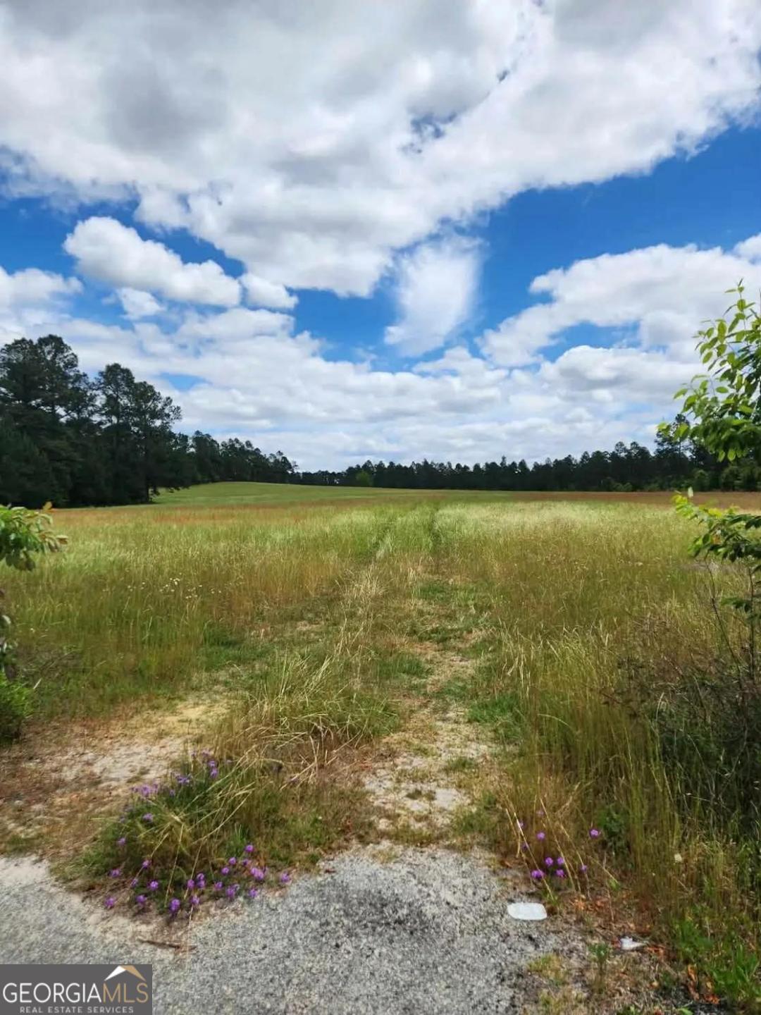 0 Stingray Road Swainsboro, GA 30401 - Photo 2 of 7