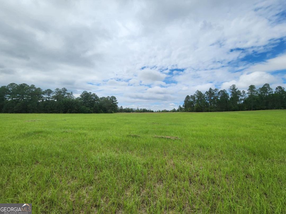 0 Stingray Road Swainsboro, GA 30401 - Photo 5 of 7