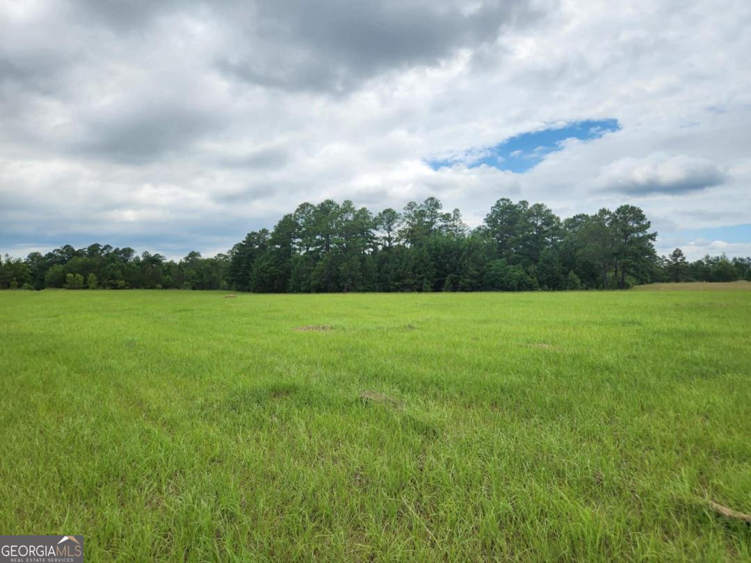 0 Stingray Road Swainsboro, GA 30401 - Photo 6 of 7
