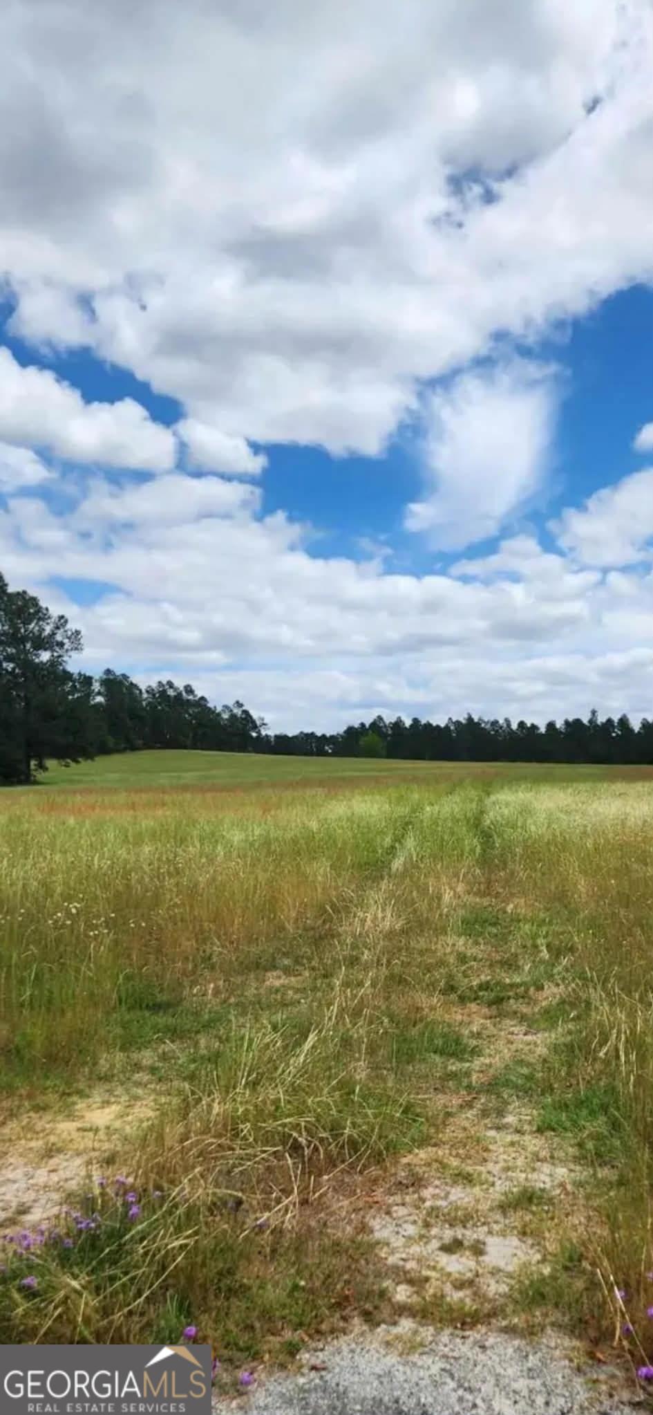 0 Stingray Road Swainsboro, GA 30401 - Photo 7 of 7