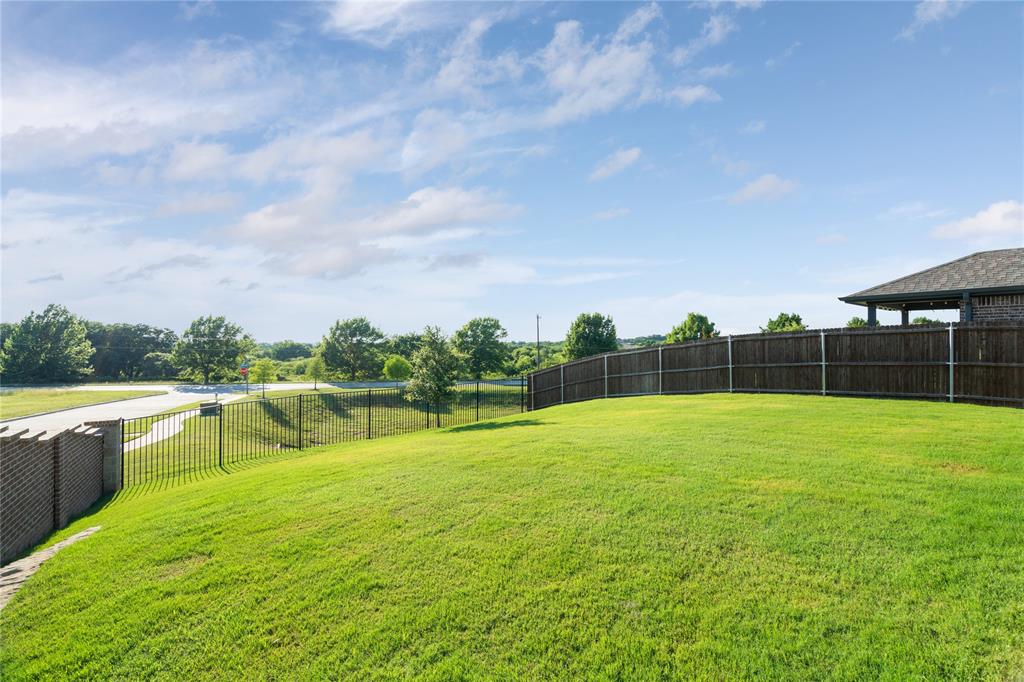752 Ruellia Street Weatherford, TX 76086 - Photo 28 of 31