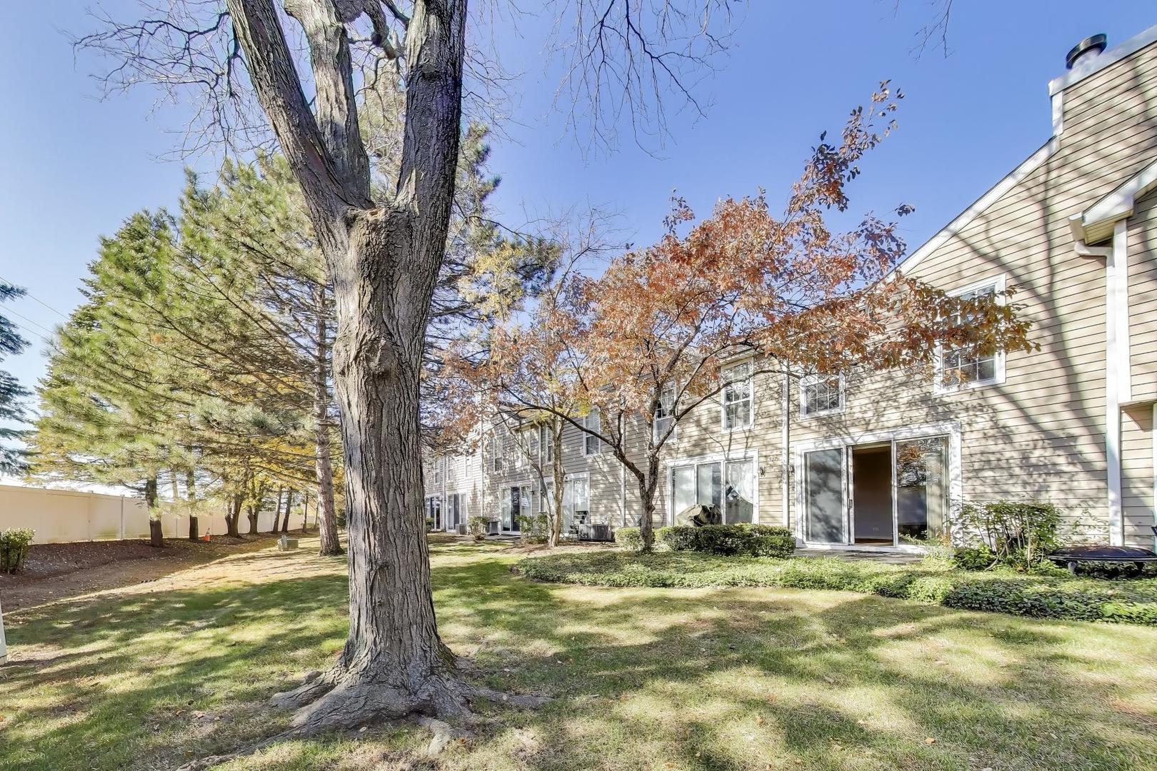 1303 Cranbrook Court Schaumburg, IL 60193 - Photo 23 of 29 a yard with a tree in the background