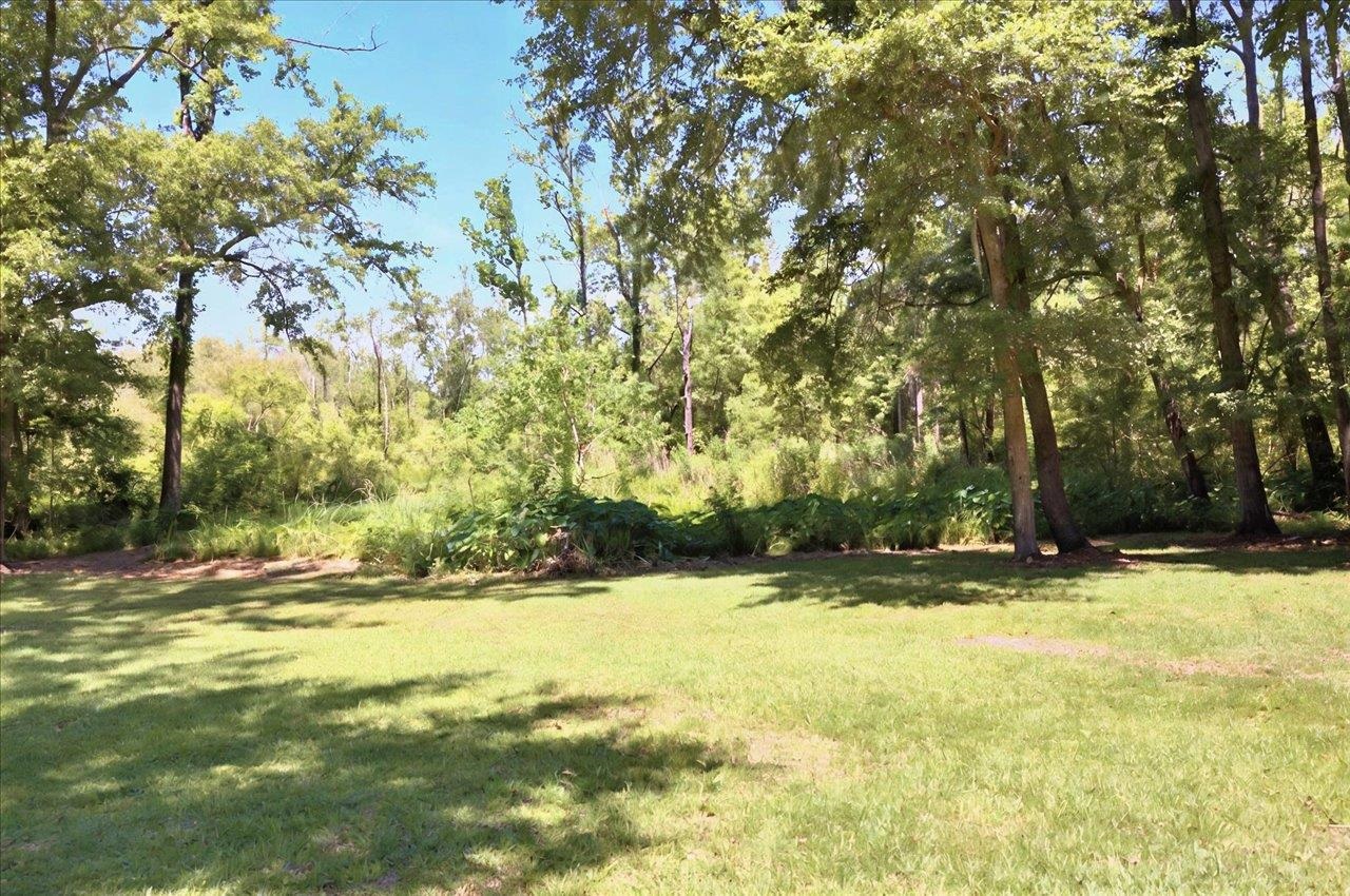 296 Timberlane Road Tallahassee, FL 32312 - Photo 17 of 41 Gallery Image 17