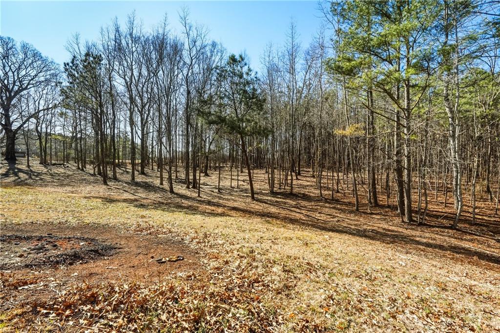 3462 Vinson Mountain Road Rockmart, GA 30153 - Photo 24 of 31 a view of a yard with trees