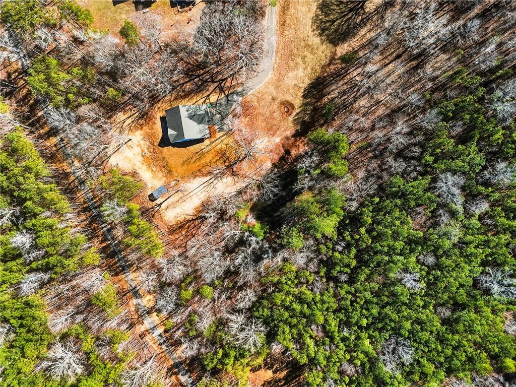 3462 Vinson Mountain Road Rockmart, GA 30153 - Photo 28 of 31 a view of a tree in a yard