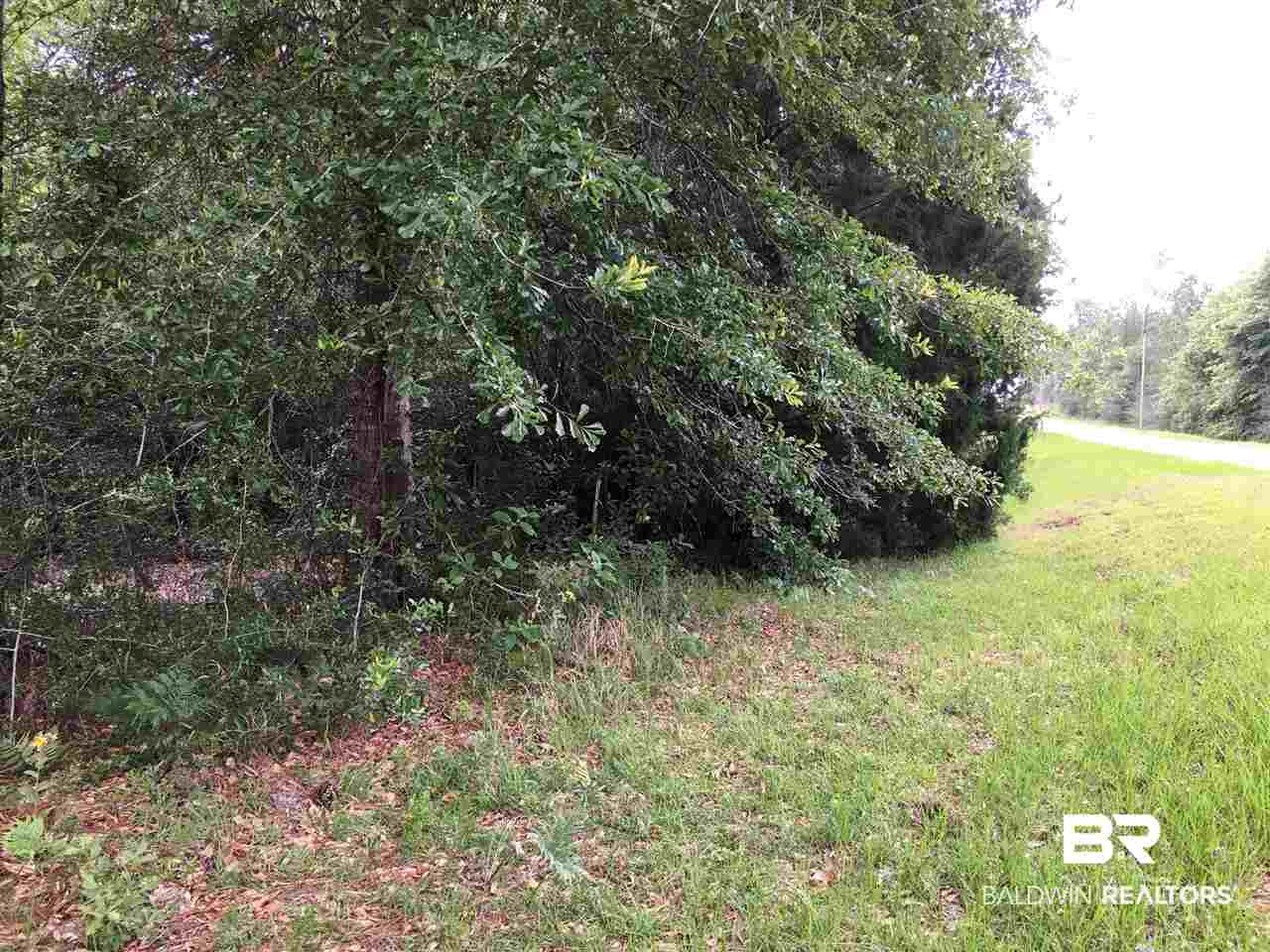 0 New Hope Church Road Robertsdale, AL 36567 - Photo 16 of 17