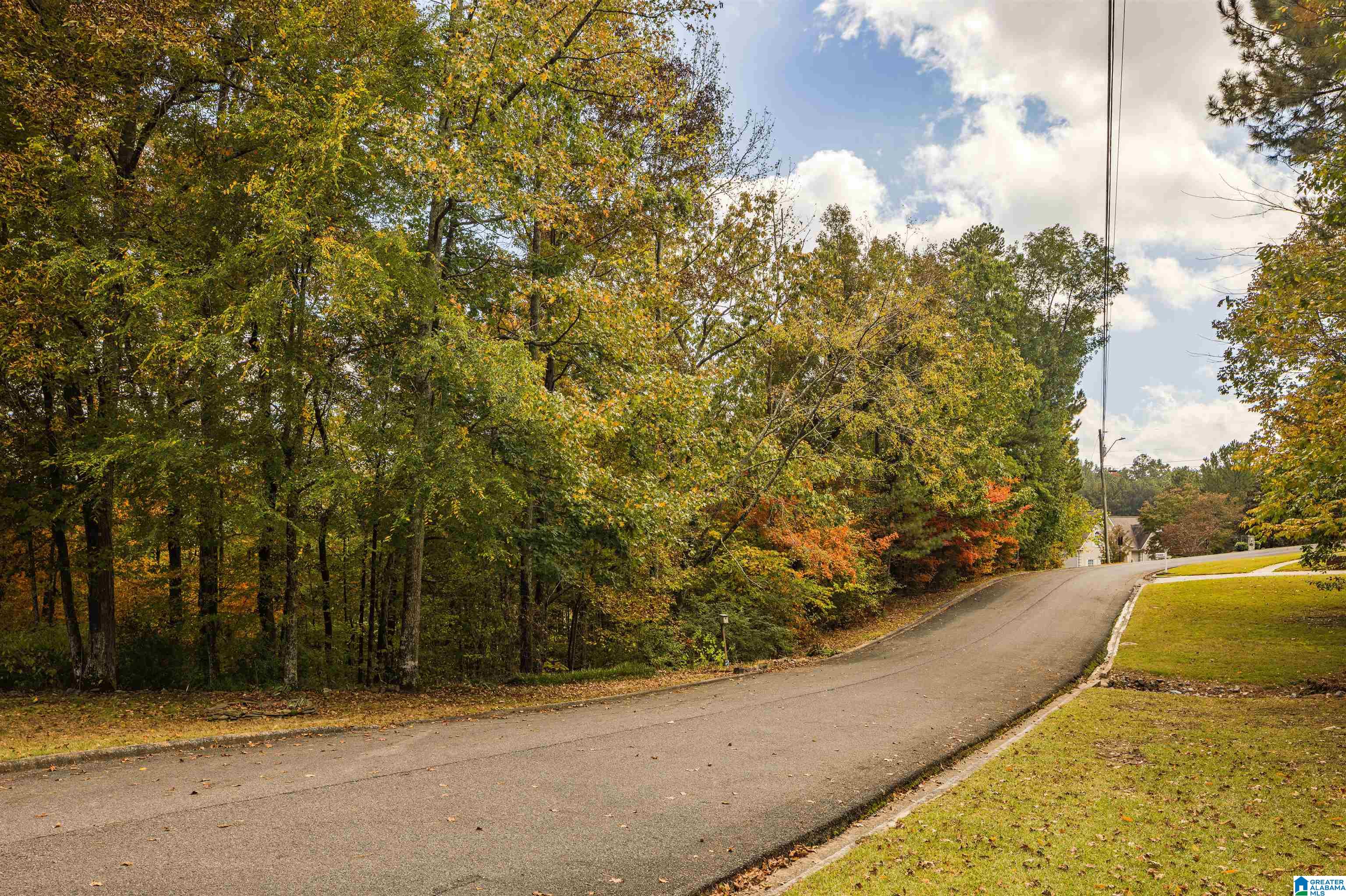 0 Quail Ridge Road, Unit 5 Oneonta, AL 35121 - Photo 22 of 29 Gallery Image 22