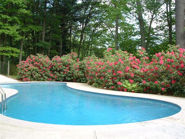 163 Moore Road Sudbury, MA 01776 - Photo 16 of 21 Gallery Image 16