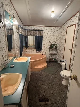 a bathroom with a sink a toilet and mirror