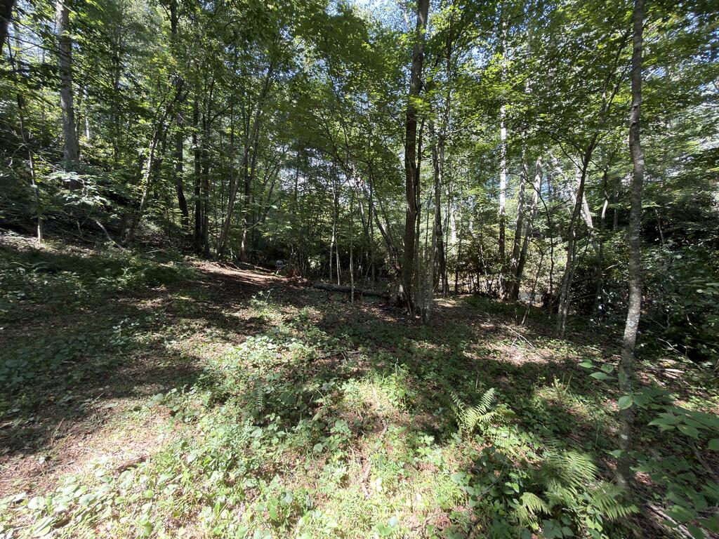 Tbd Baltimore Road Hillsville, VA 24343 - Photo 36 of 50 Gallery Image 36
