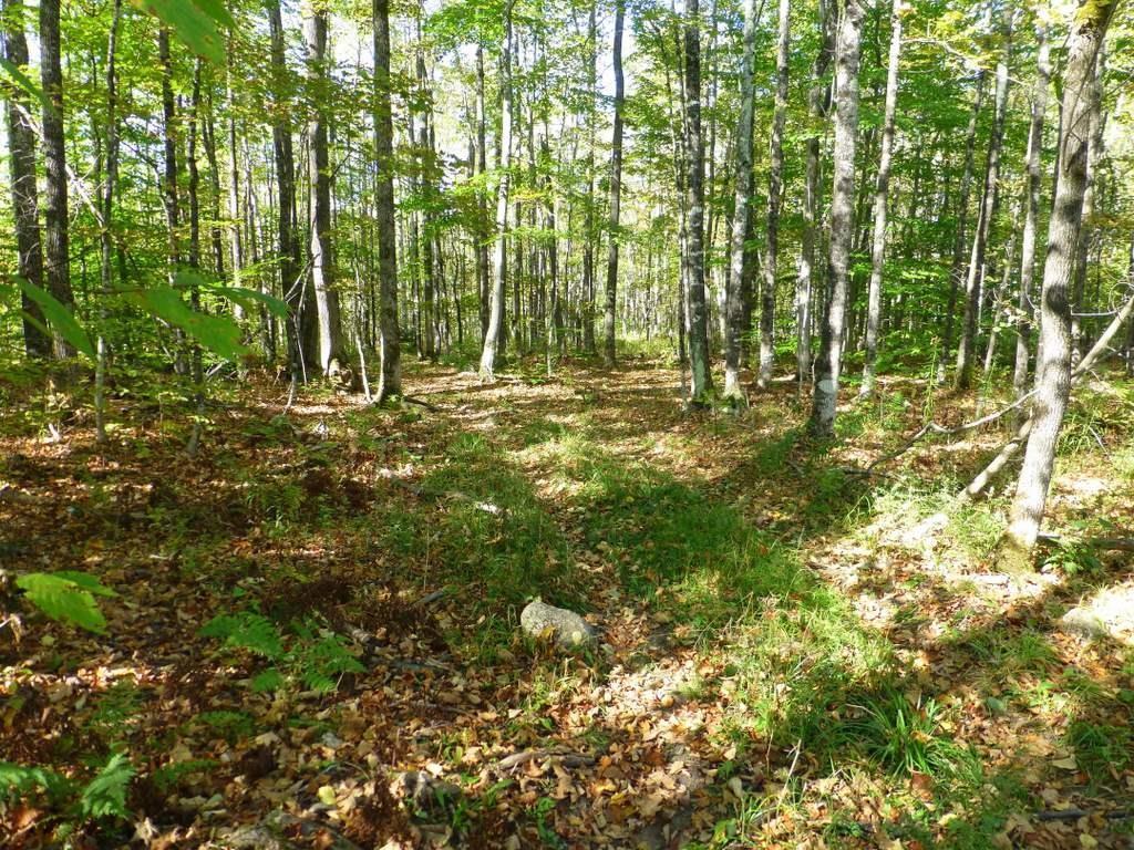Tbd Weeks Mills Road Farmington, ME 04938 - Photo 12 of 20 Photo