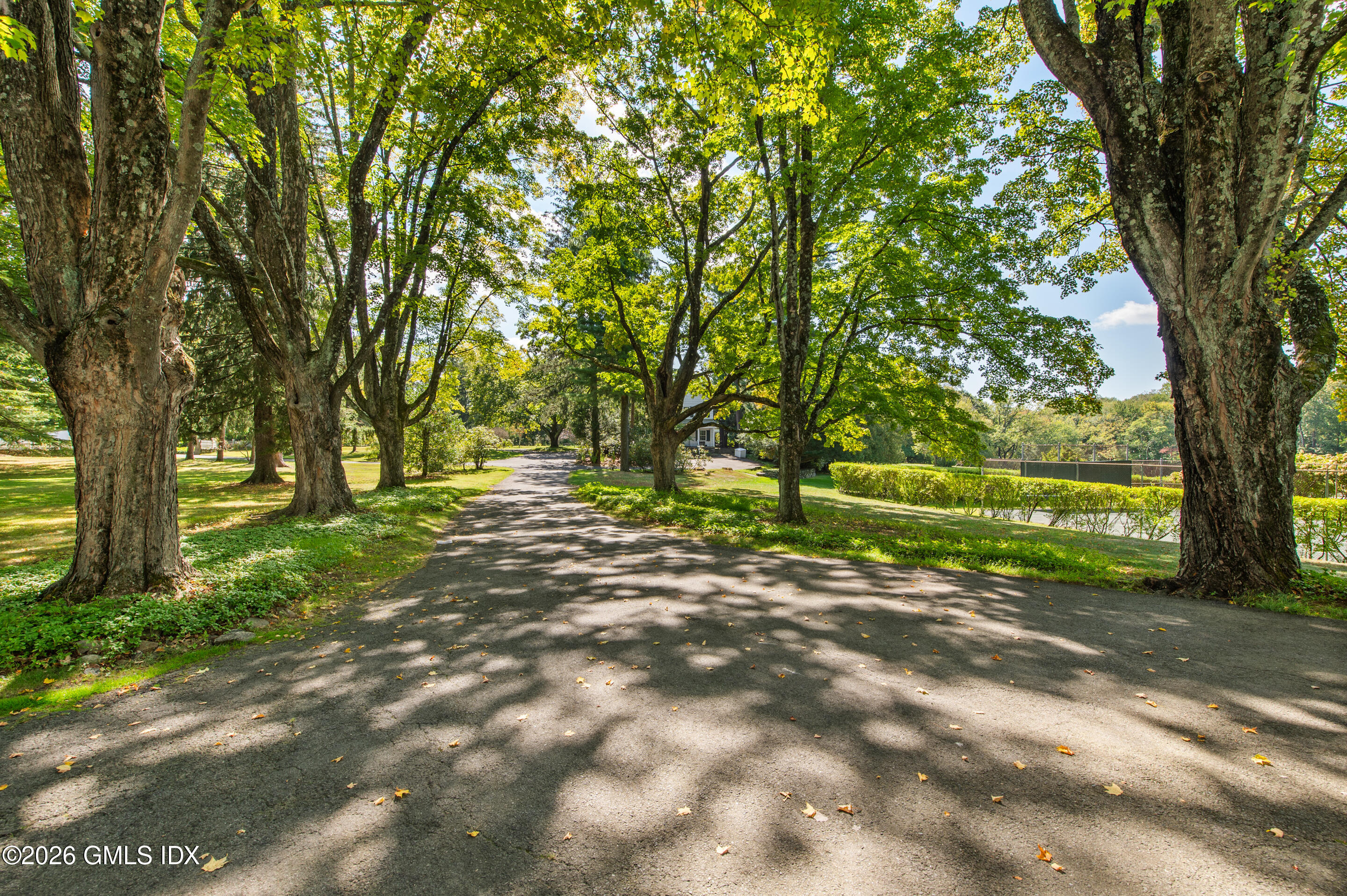 122 Round Hill Road Greenwich, CT 06831 - Photo 36 of 37 a view of outdoor space with trees
