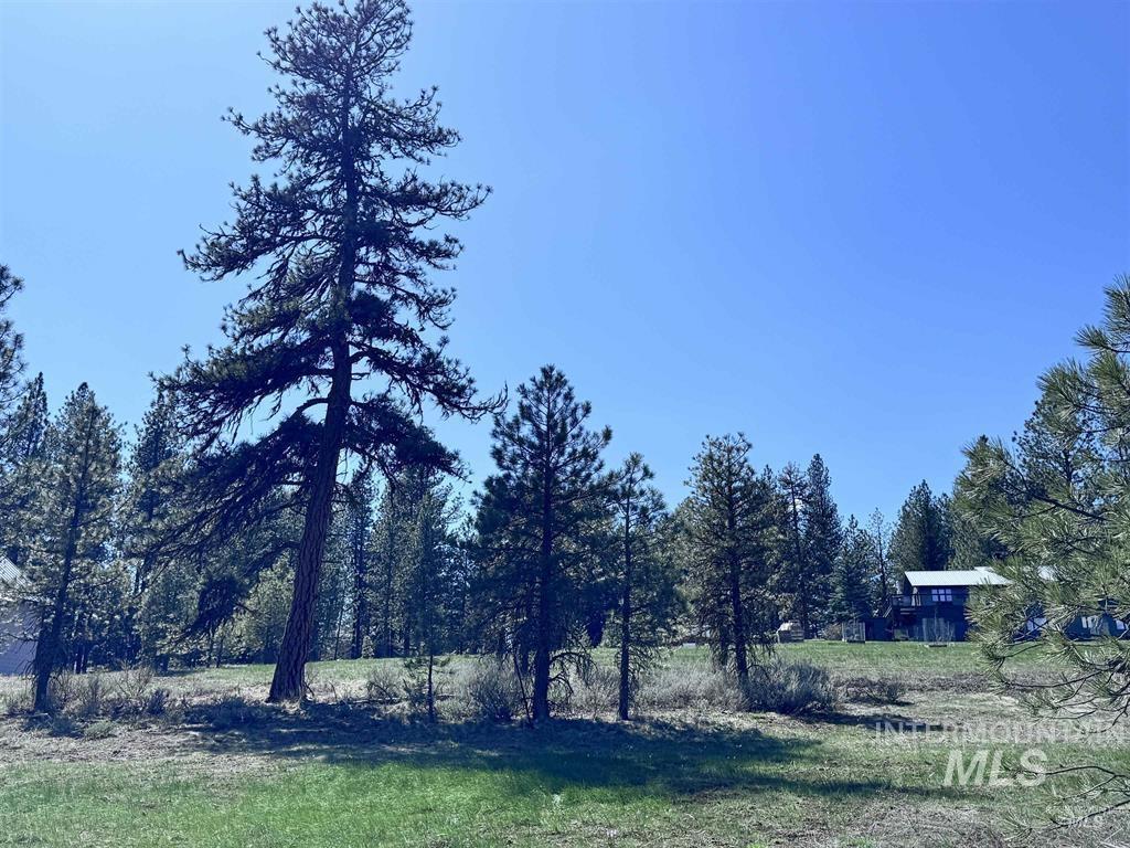Lot 19 Hot Springs Road New Meadows, ID 83654 - Photo 12 of 28