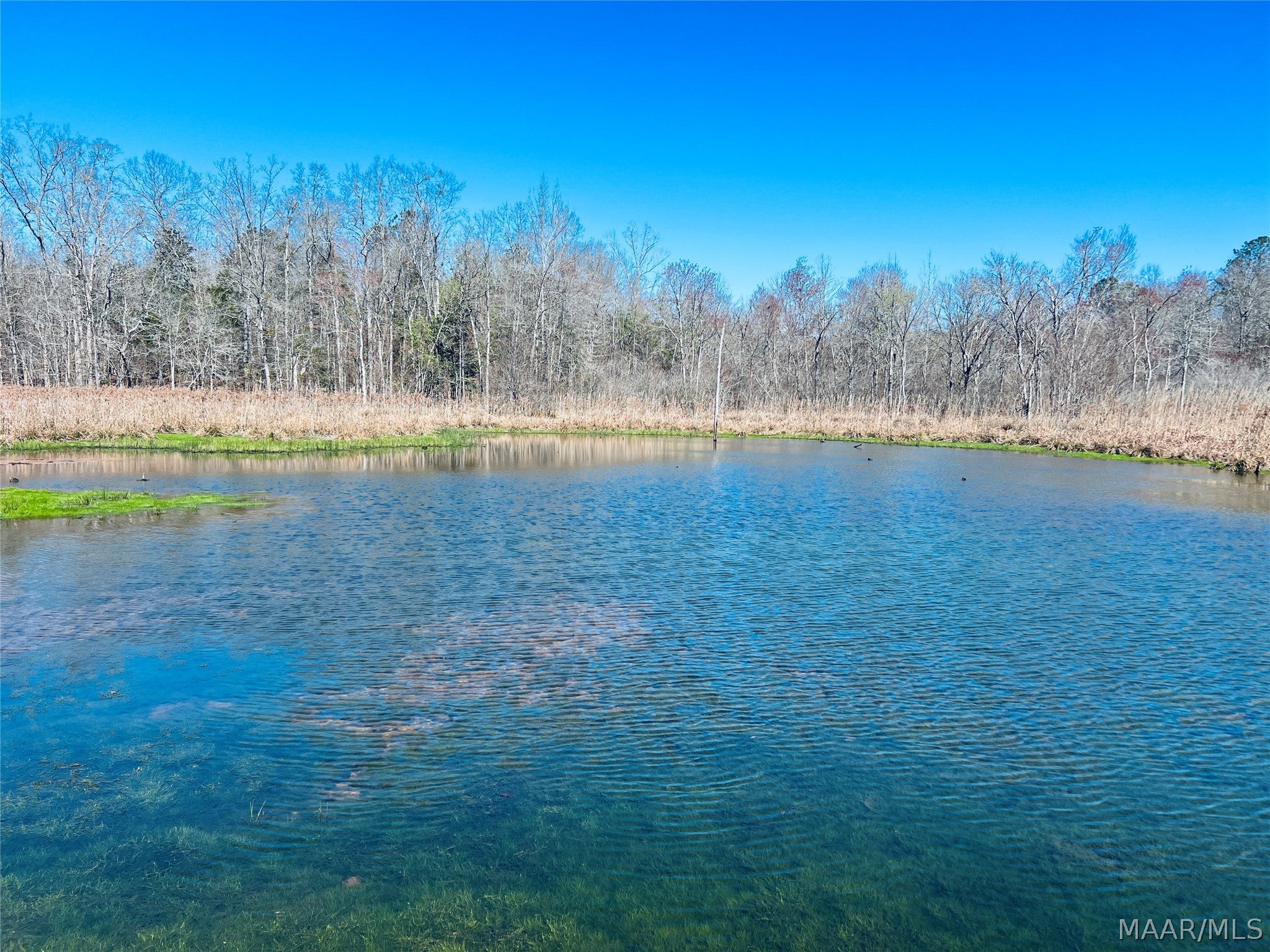 0 Old Meriwether Trail Lapine, AL 36046 - Photo 13 of 25 Gallery Image 13