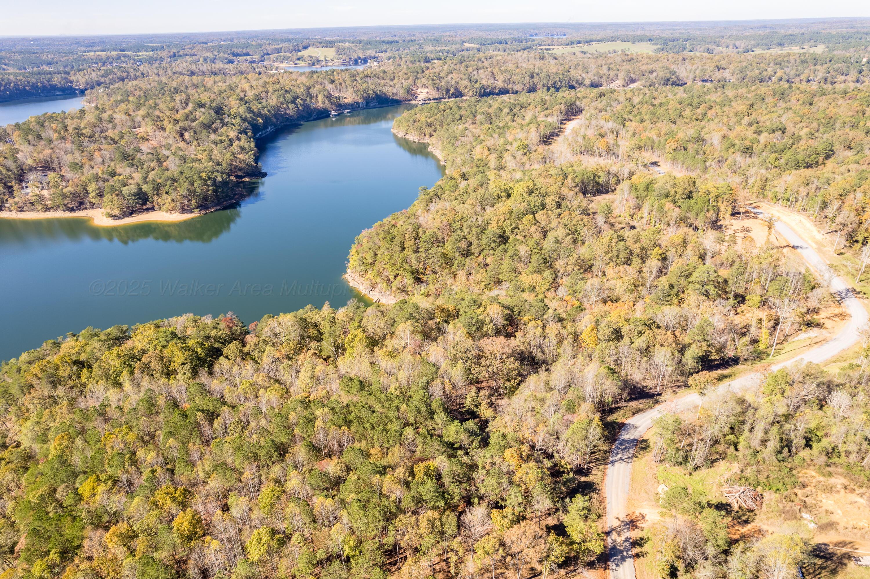 Lot 12 Ryan's View Cullman, AL 35057 - Photo 6 of 9 Aerial