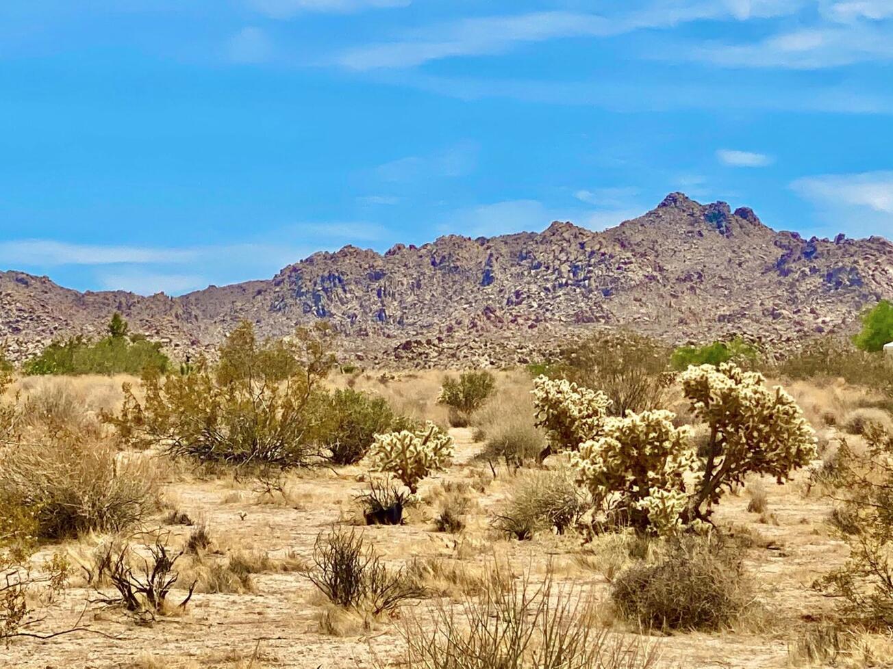 1107 Sunkist Road Joshua Tree, CA 92252 - Photo 8 of 27 Screen Shot 2021-10-14 at 2.27.01 PM