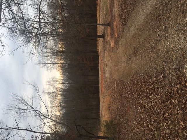 390 State Rd S-42-1879 Chesnee, SC 29323 - Photo 1 of 1 Gallery Image 1