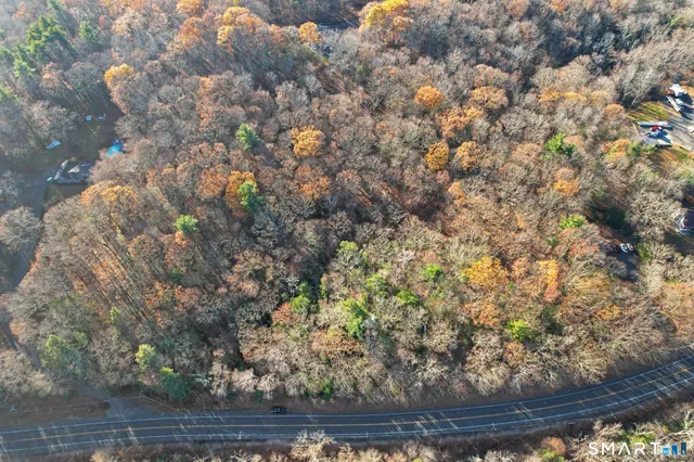 a view of plant in middle of green field