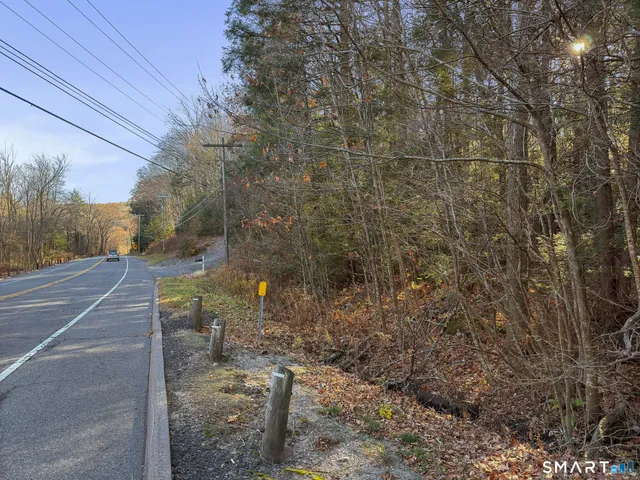 a view of a yard with plants and large trees