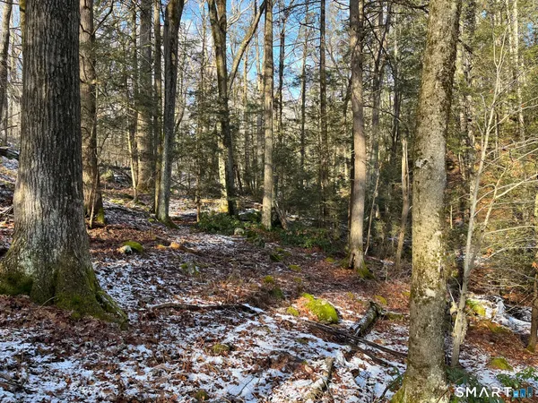 a view of a yard with plants and trees