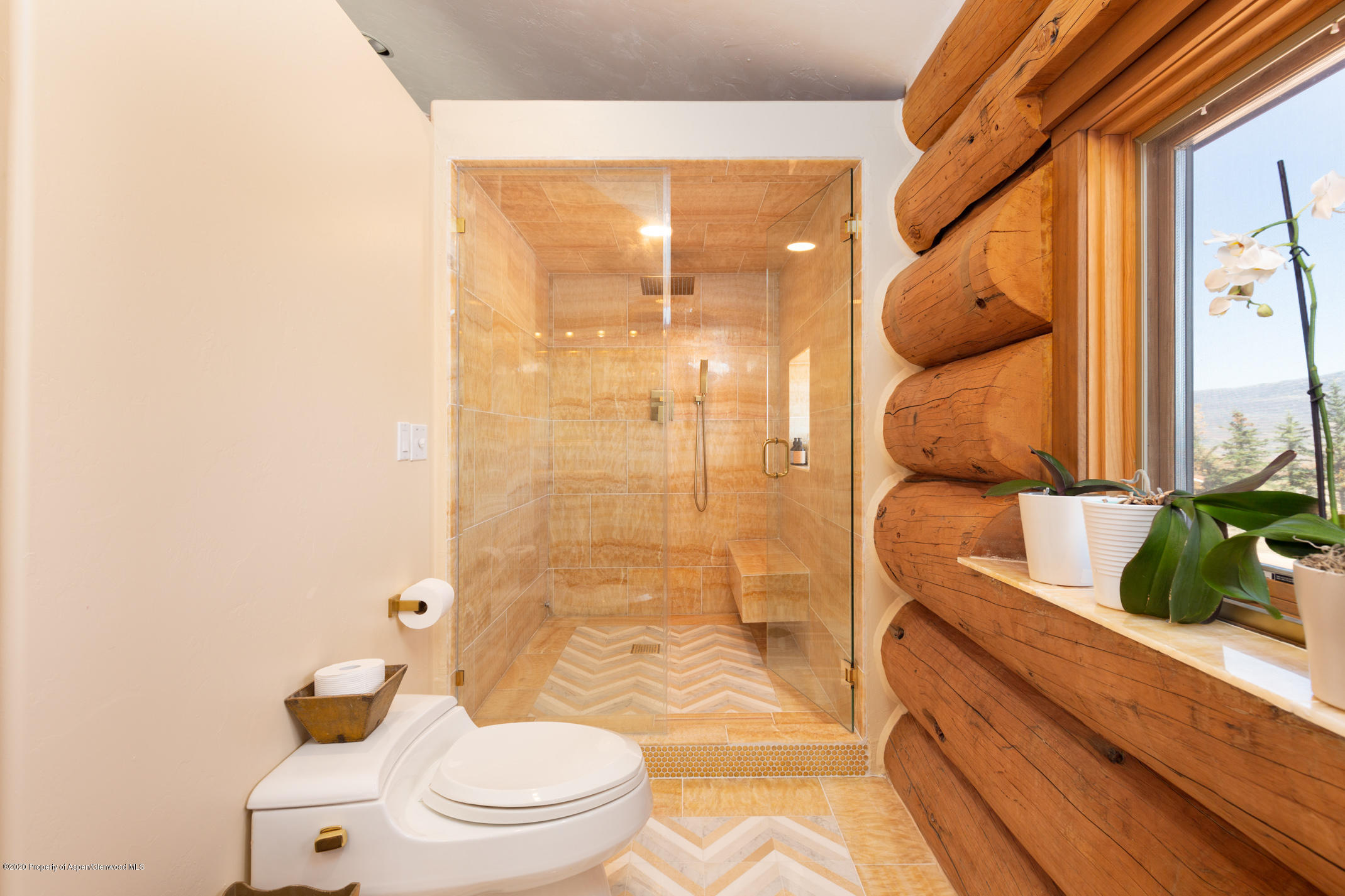 2000 Stone Road Basalt, CO 81621 - Photo 21 of 47 a bathroom with a toilet and a shower