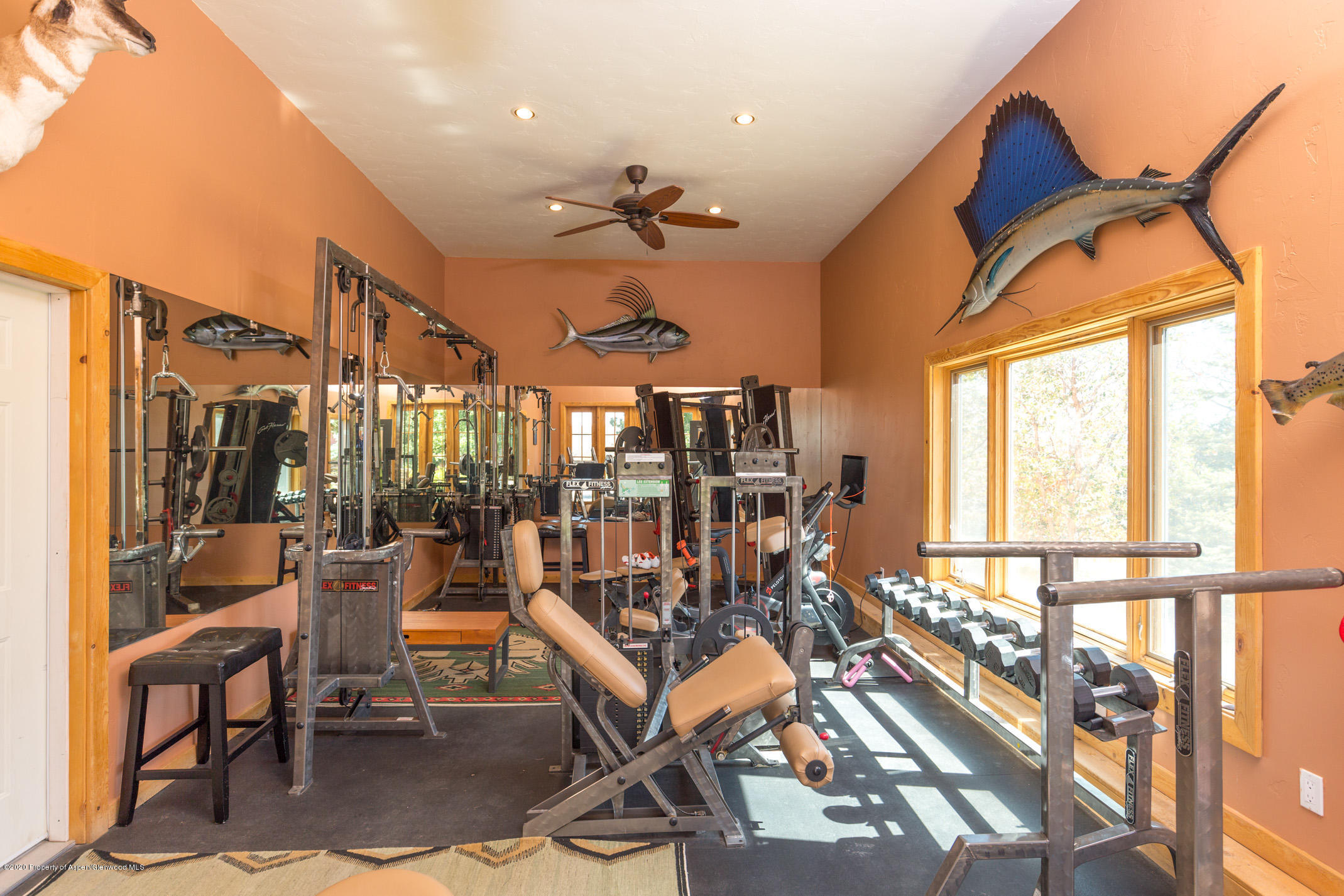 2000 Stone Road Basalt, CO 81621 - Photo 38 of 47 a view of a room with gym equipment