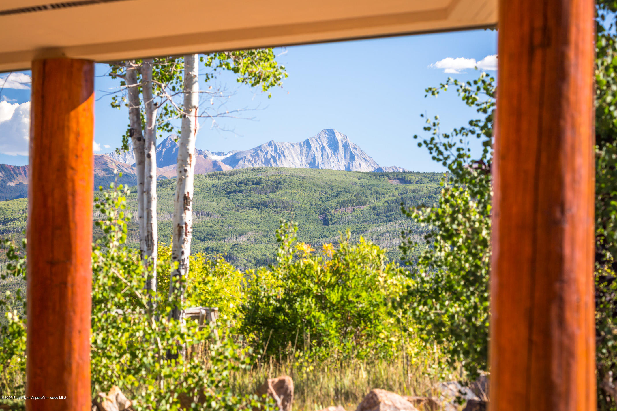 2000 Stone Road Basalt, CO 81621 - Photo 7 of 47 a view of a vase of flowers
