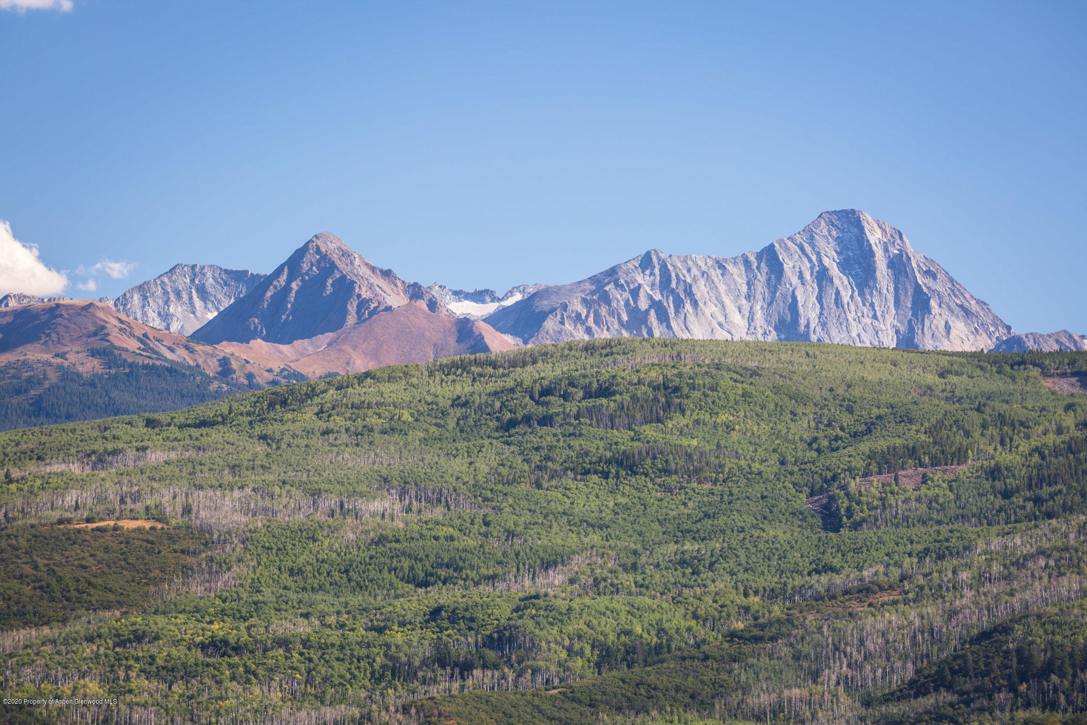2000 Stone Road Basalt, CO 81621 - Photo 8 of 47 a view of a yard with an outdoor space