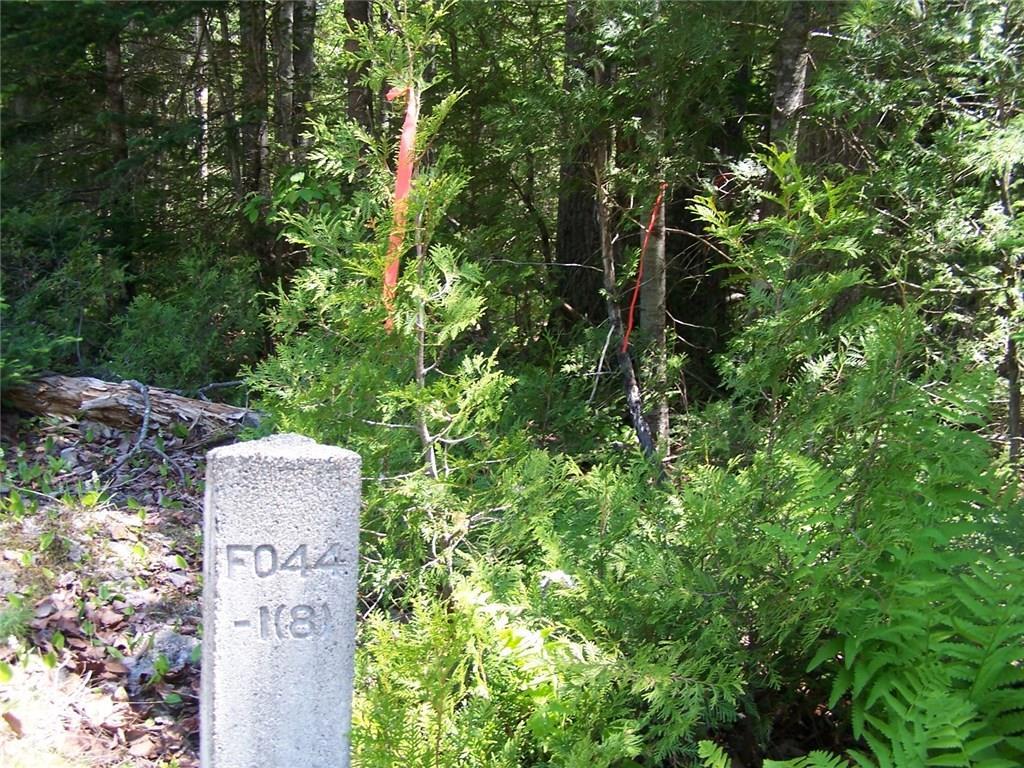 0 Rt 1 Gouldsboro Point Road Gouldsboro, ME 04607 - Photo 1 of 15 Photo