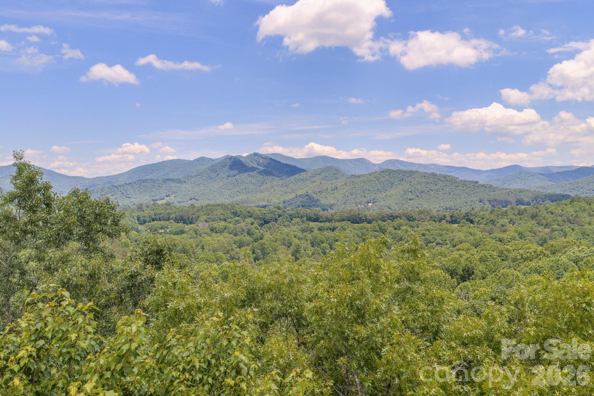 35 Coweeta Ridge Otto, NC 28763 - Photo 47 of 48