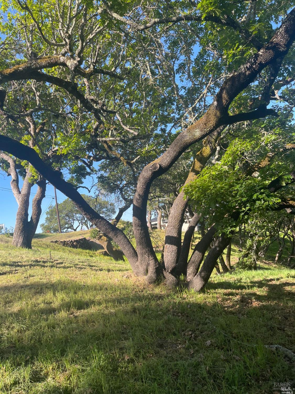 1328 Wikiup Drive Santa Rosa, CA 95403 - Photo 6 of 10