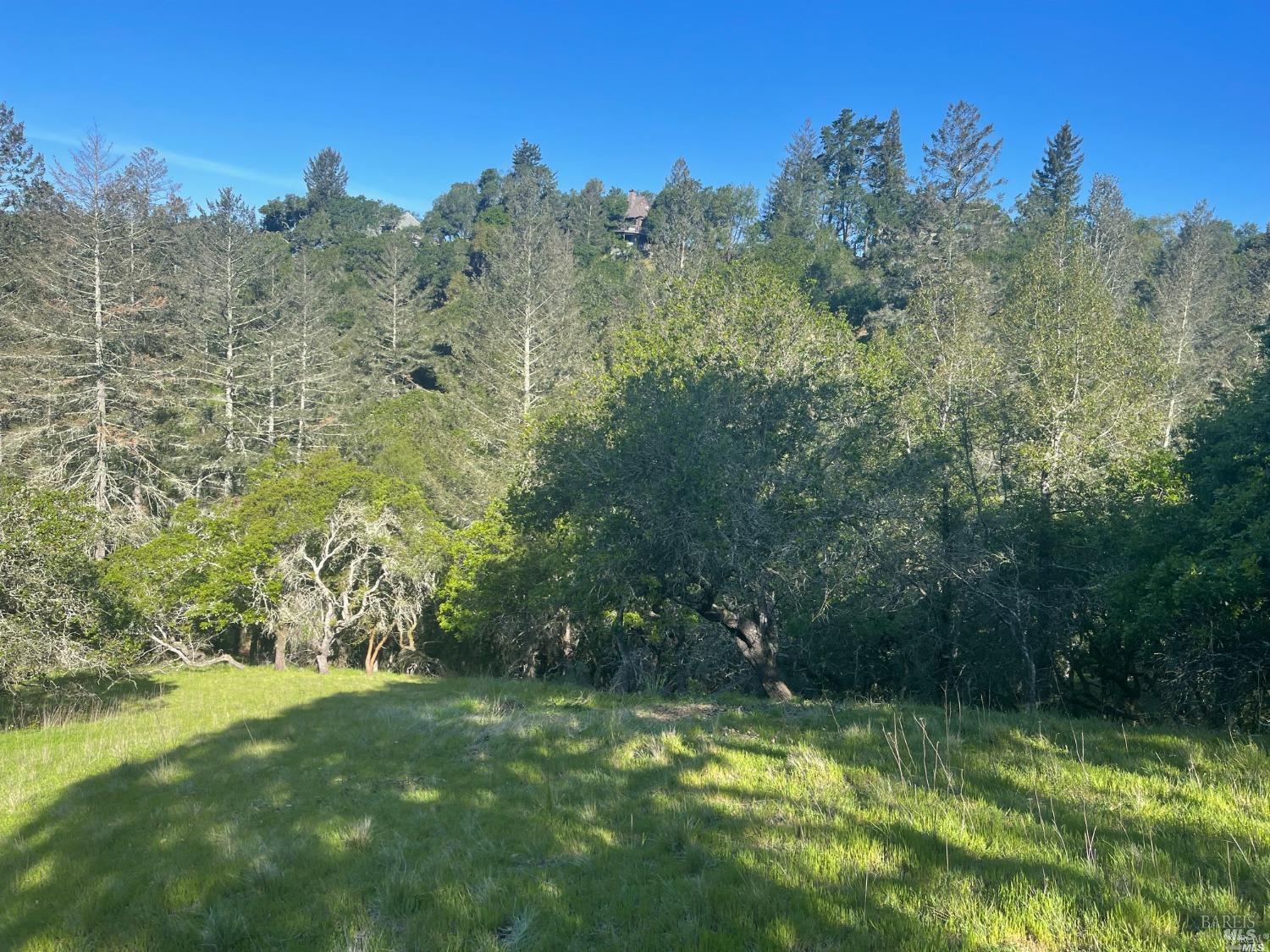 1328 Wikiup Drive Santa Rosa, CA 95403 - Photo 7 of 10 Lower lot meadow