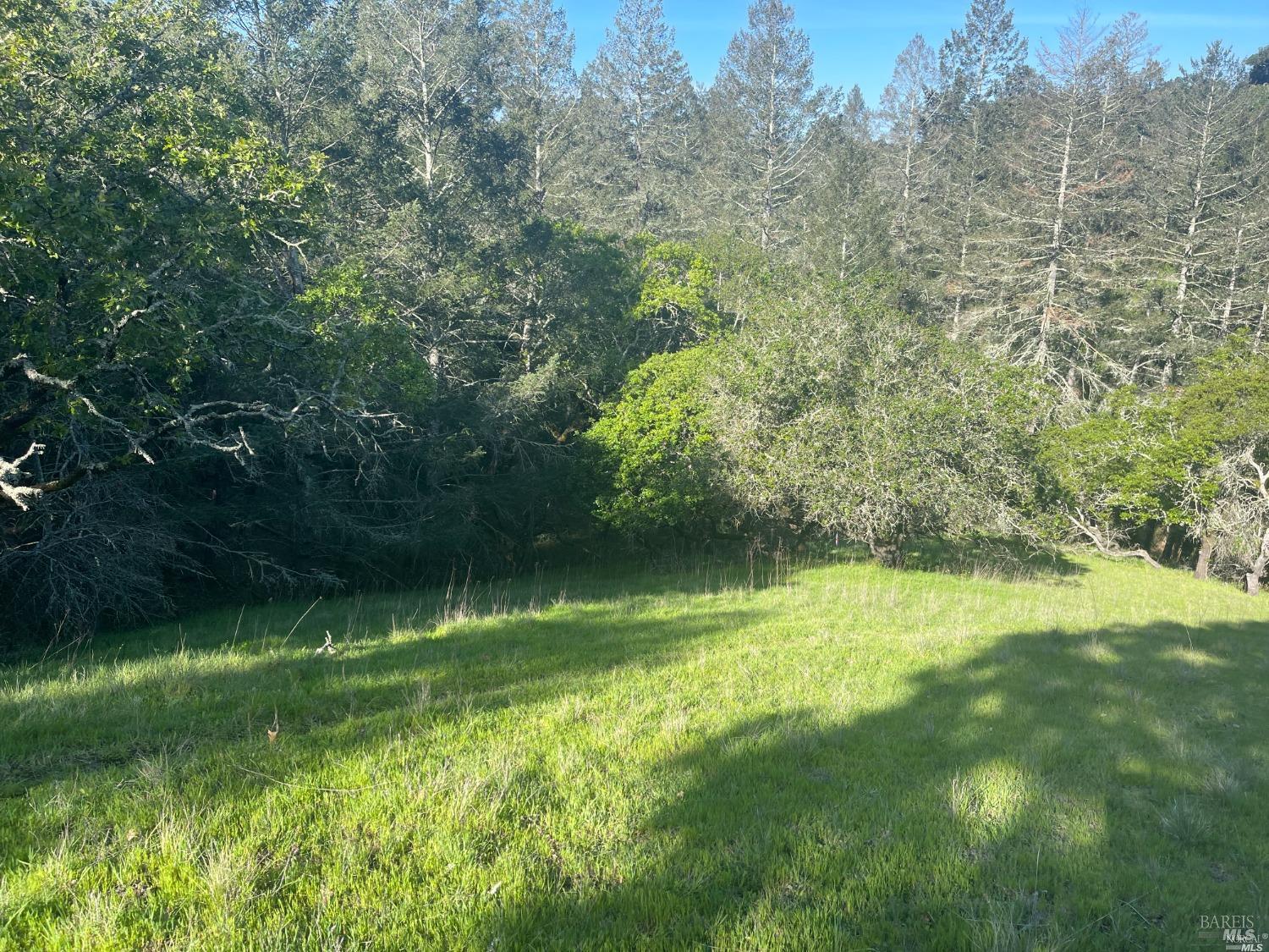 1328 Wikiup Drive Santa Rosa, CA 95403 - Photo 8 of 10