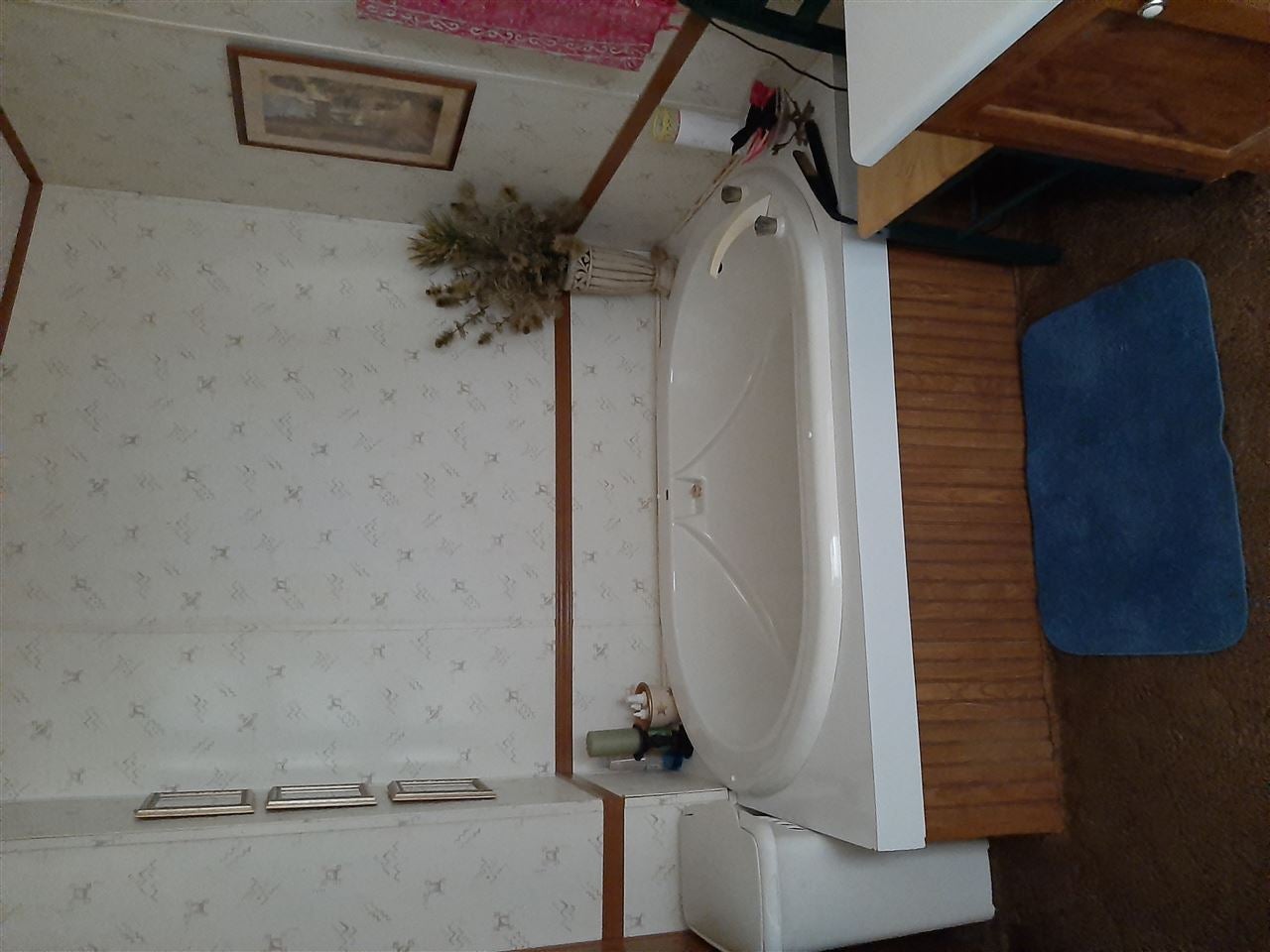639 Race Track Road Florala, AL 36442 - Photo 13 of 26 Gallery Image 13