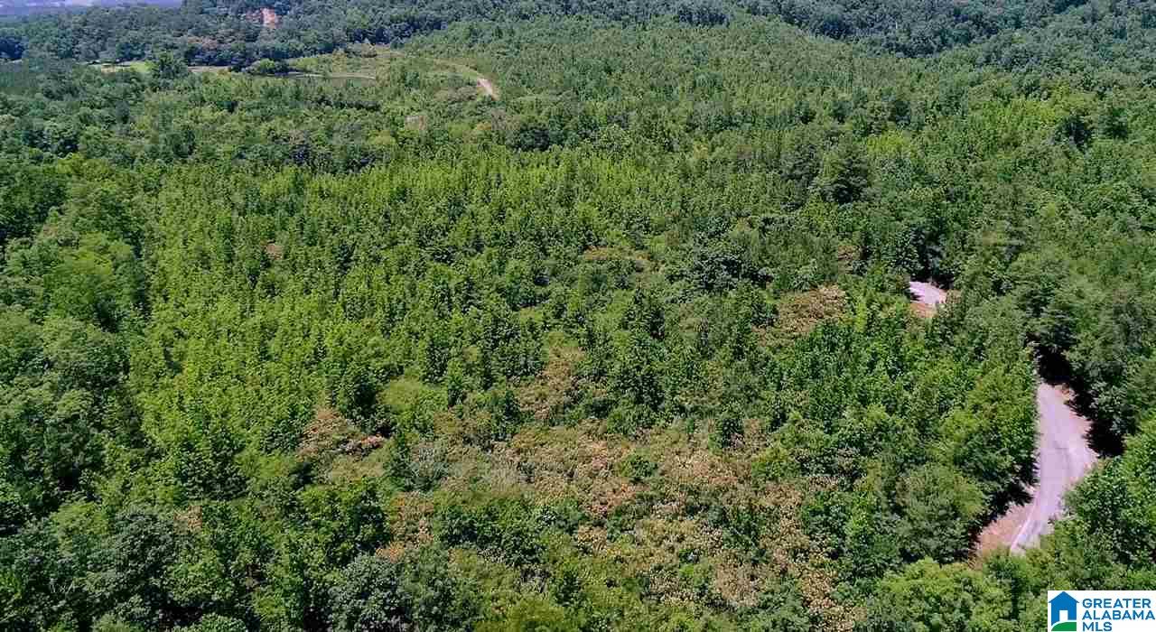0 Mountain Gap Road, Unit 27 ACRES Cleveland, AL 35049 - Photo 2 of 7