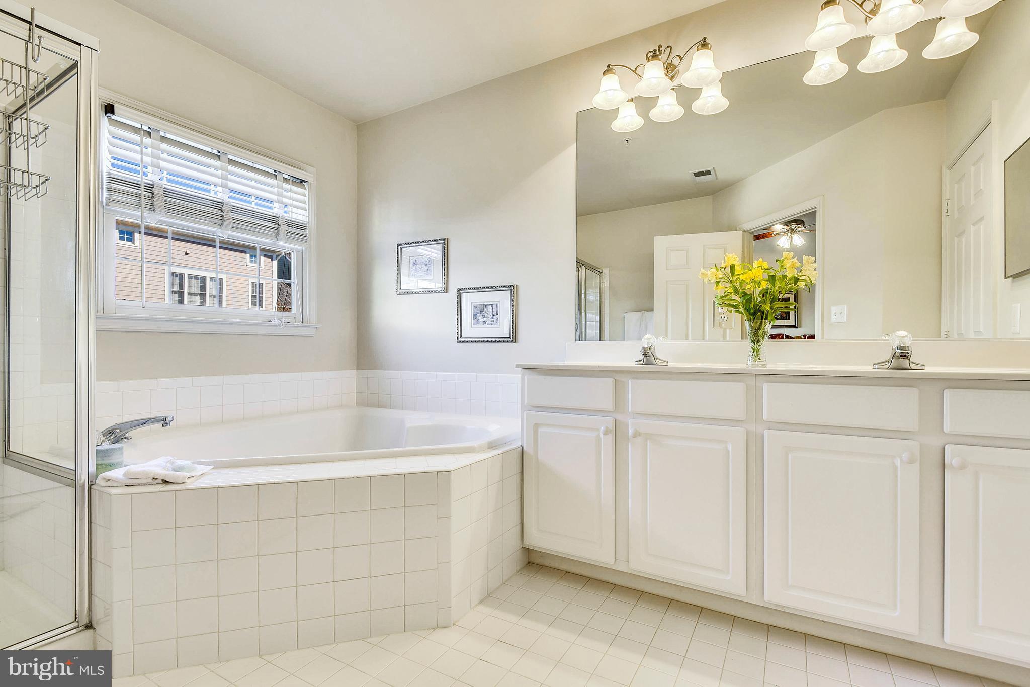 329 Hart Road Gaithersburg, MD 20878 - Photo 11 of 30 Luxurious Bathroom