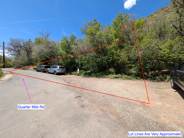 6739 Emigration Canyon Road Emigration Canyon, UT 84108 - Photo 5 of 6 Unimproved lot with mature trees and natural landscaping