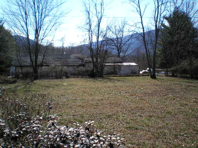 3526 Bennett Springs Road Salem, VA 24153 - Photo 8 of 8 Back Yard